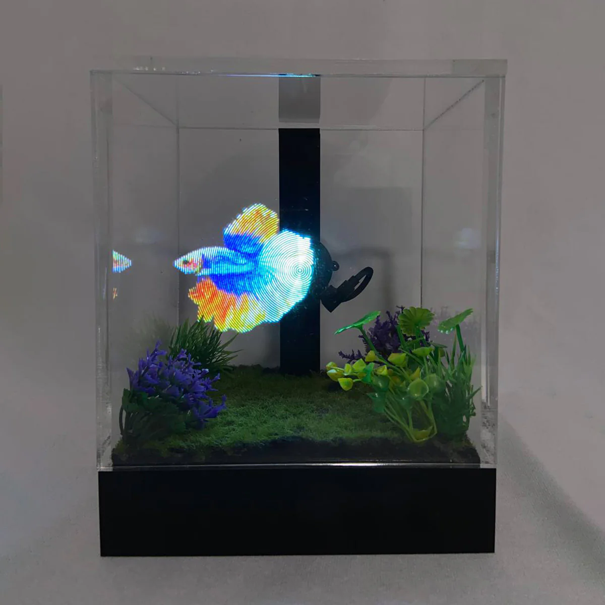 3D Holographic Aquarium - Image 11